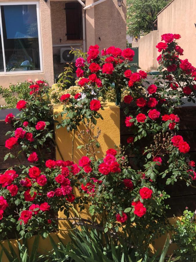 Chez Guy Bed and Breakfast Marseilles Buitenkant foto