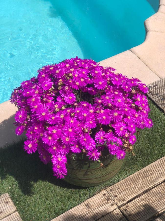 Chez Guy Bed and Breakfast Marseilles Buitenkant foto
